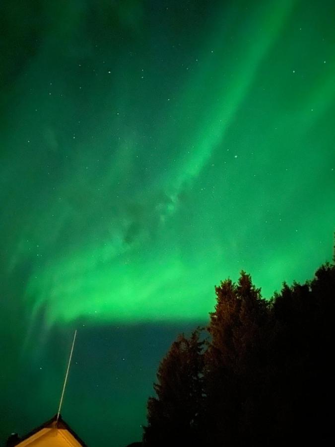 Lyngen, Mackay Appartment, Lyngen Lyngseidet Eksteriør bilde