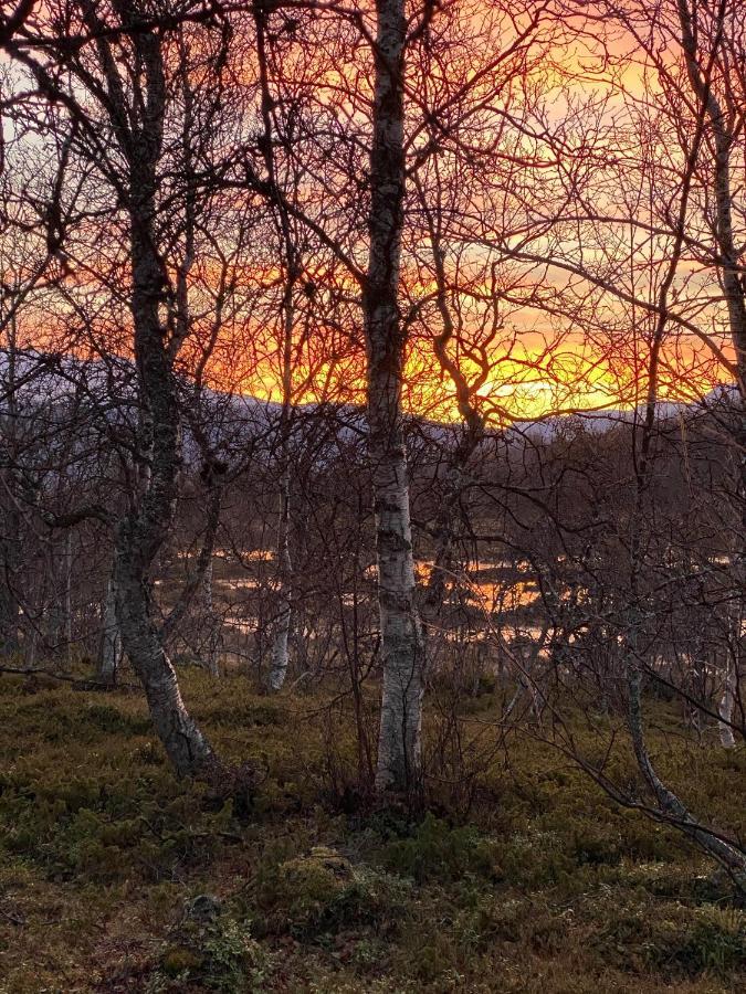 Lyngen, Mackay Appartment, Lyngen Lyngseidet Eksteriør bilde