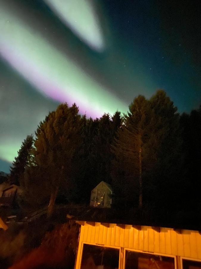 Lyngen, Mackay Appartment, Lyngen Lyngseidet Eksteriør bilde